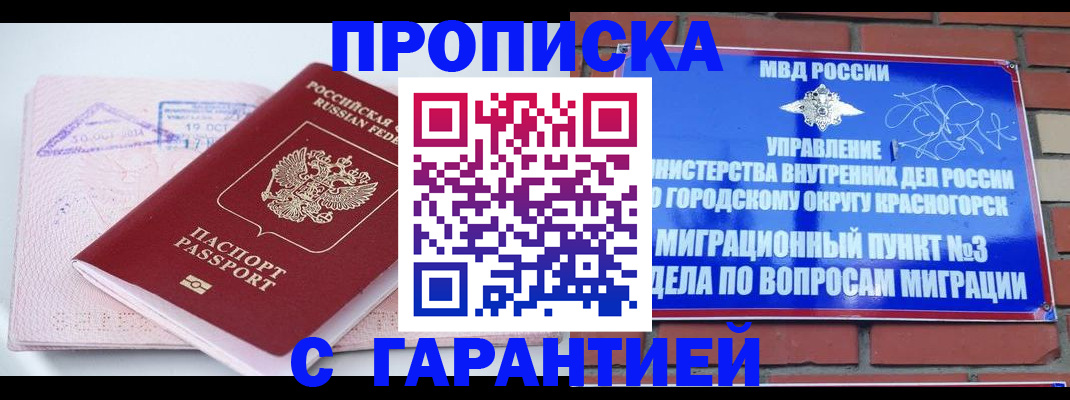 прописка законно в Новгородской области